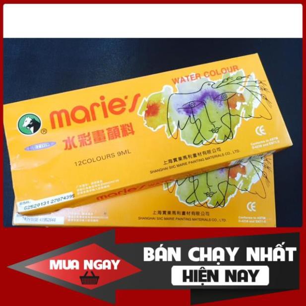 MÀU NƯỚC MARIE'S 12 MÀU E1306