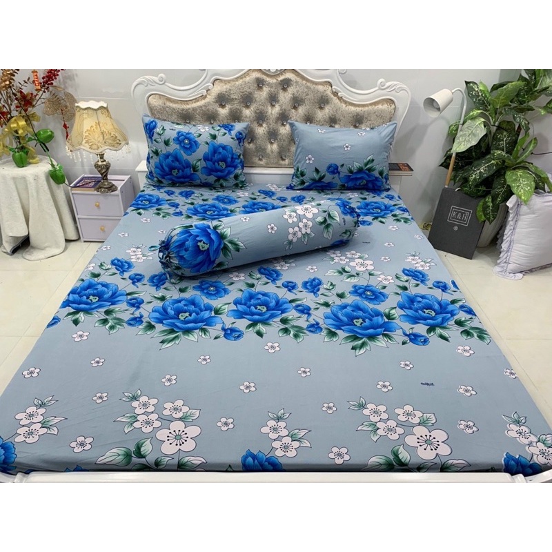 Bộ drap thun hàn quốc mát mịn mẫu bông gồm 7 màu siêu đẹp
