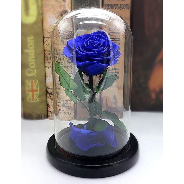 Shop 1K - Hạt giống Hoa Hồng Xanh 10 Hạt - Tặng thuốc kích mầm rễ