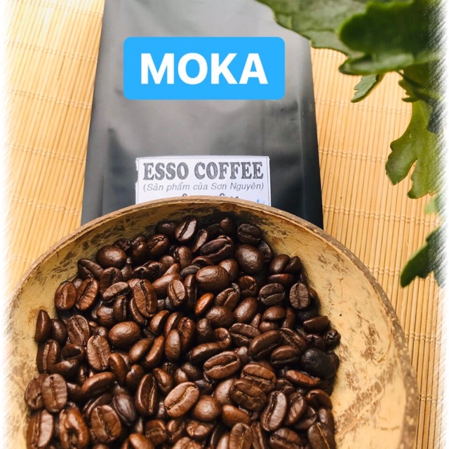 Moka - Tổng Đại Lý Cafe Hạt Nguyên Chất