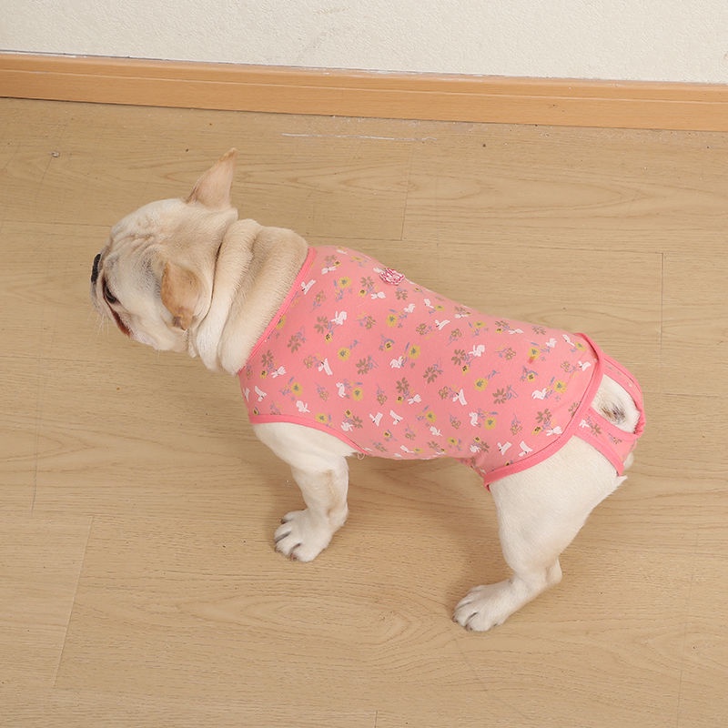 Bộ Áo Liền Quần Sinh Lý Bằng Cotton Nguyên Chất In Chữ Bichon Cho Cún Cưng | BigBuy360 - bigbuy360.vn