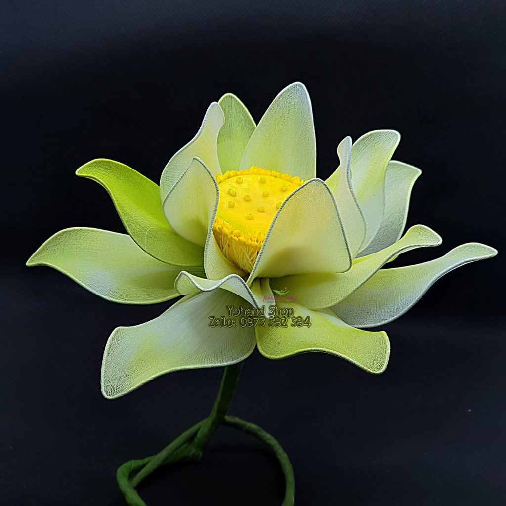 Hoa sen bằng vải voan