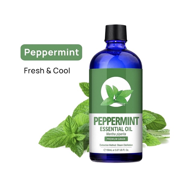 Tinh dầu Bạc hà 100% nguyên chất Peppermint Essential Oil for Diffuser