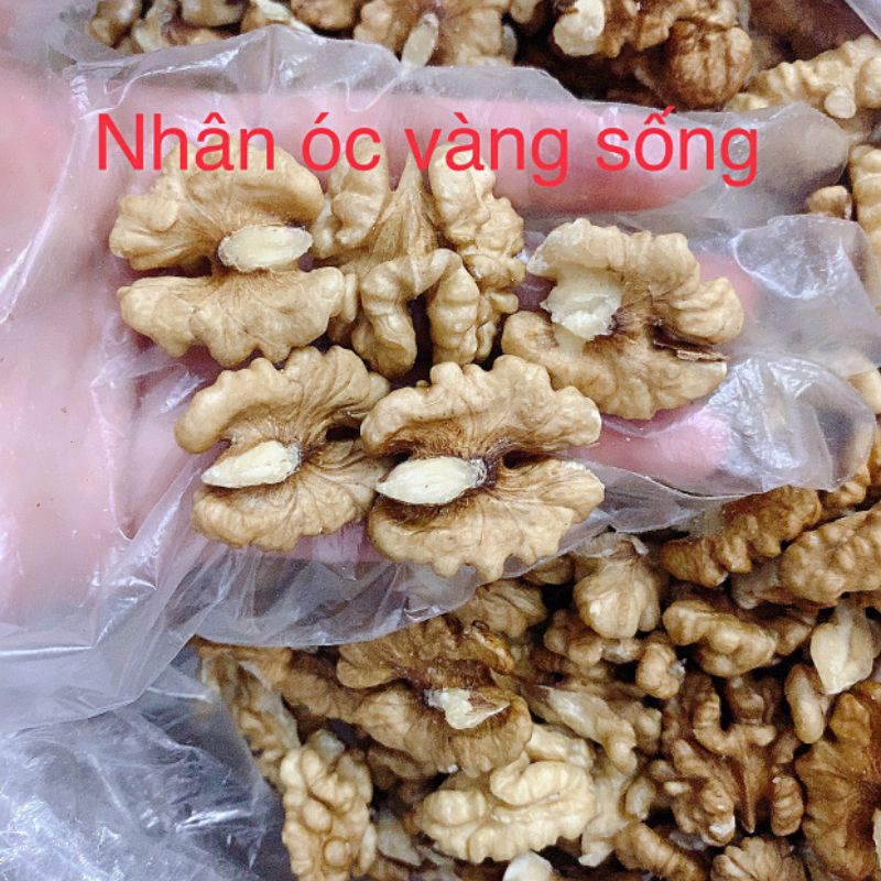 Nhân óc chó vàng Mỹ