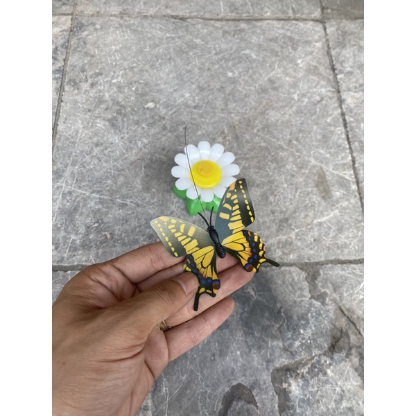 🦋🦋 Đồ Chơi Bắt Bướm Cho Mèo Cưng