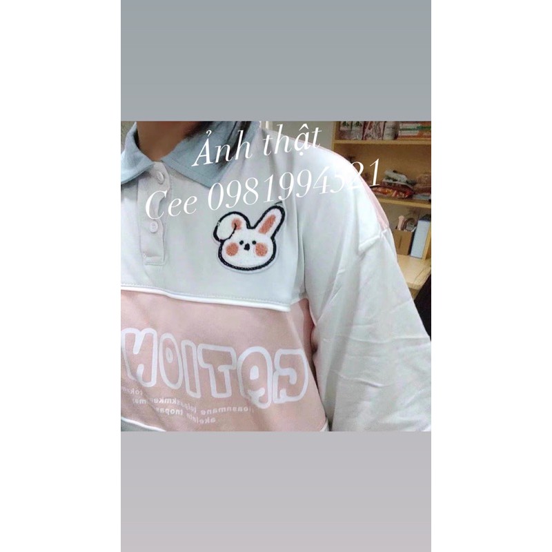 Áo polo cực xinh
