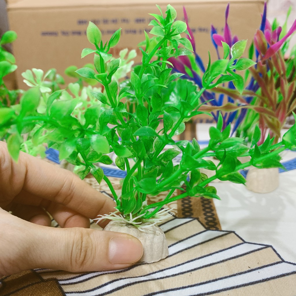 Cây cảnh, cây trang trí nhựa cho hồ cá, hồ tép thủy sinh