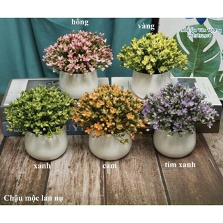 Chậu cây giả để bàn,bày giá kệ-trang trí,decor