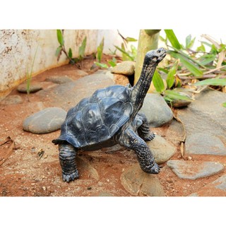 Mô Hình Rùa Galapagos Tortoise .