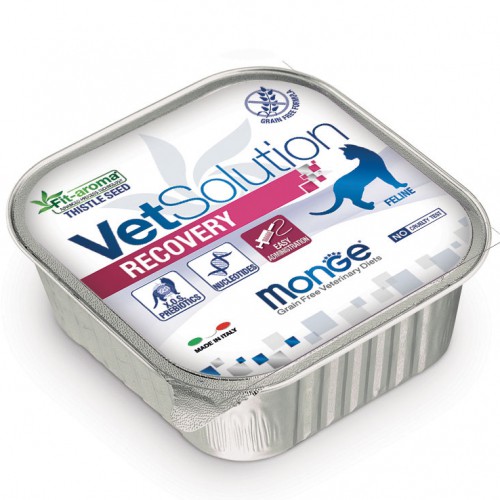 Monge Vetsolution pate hỗ trợ thúc đẩy phục hồi dinh dưỡng dành cho mèo bệnh và sau phẫu thuật 100gr