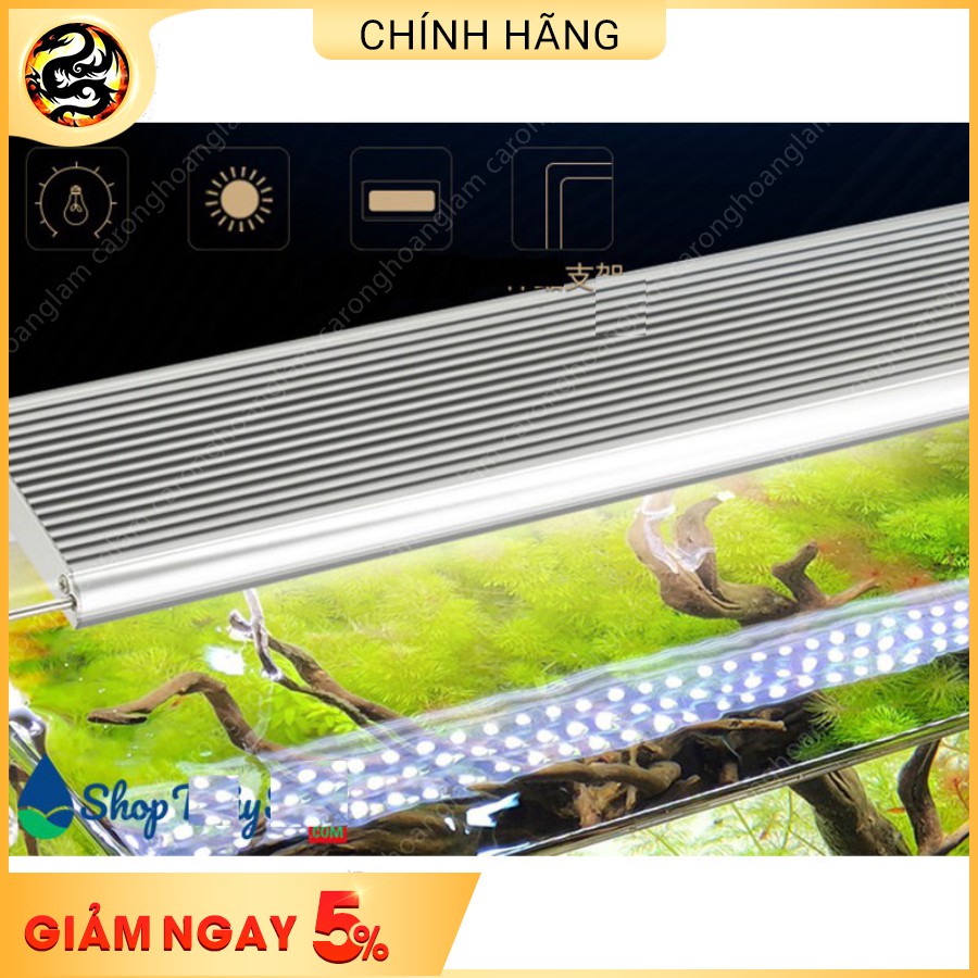 Đèn led thủy sinh Odyssea Slim X đa kích thước