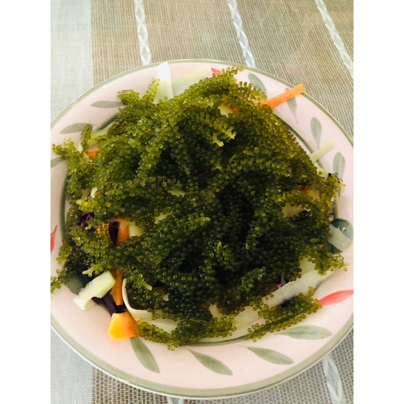 1kg chia 10 bịch rong nho tách nước thượng hạng đạt tiêu chuẩn xuất khẩu