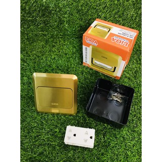 Bộ Ổ cắm âm sàn Lioa kèm 2 hạt ổ cắm 2 chấu + 1 hạt mạng lan