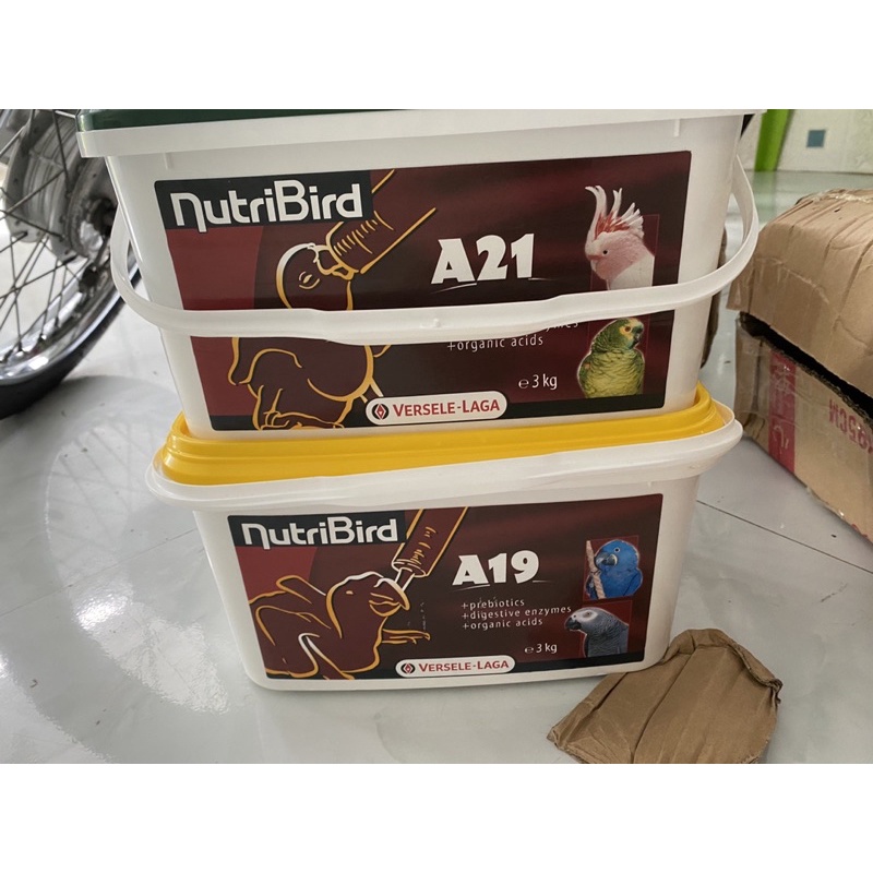 Bột Nutri Bird A19/A21 cho chim vẹt