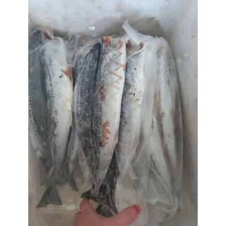 Túi 1kg cá Thu phấn 1 nắng xẻ phanh