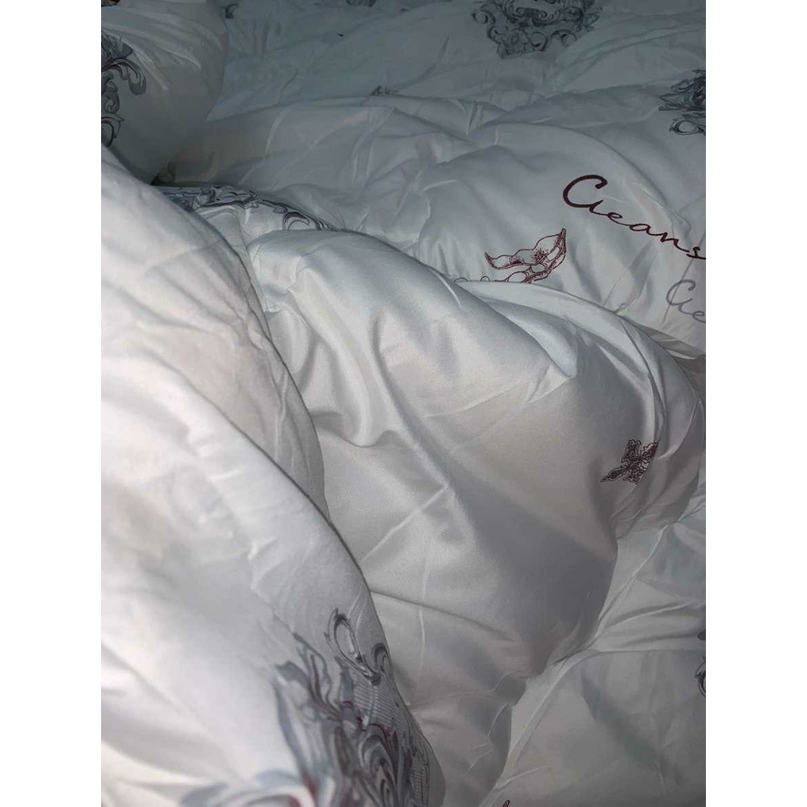 Ruột chăn lông vũ nhân tạo cao cấp nhập khẩu Hilton siêu ấm kèm túi đựng gọn nhẹ