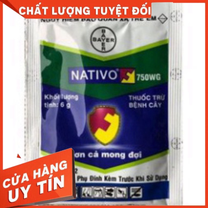 Thuốc trừ bệnh NATIVO 750WG   Bayer - Nhà thuốc An Khang