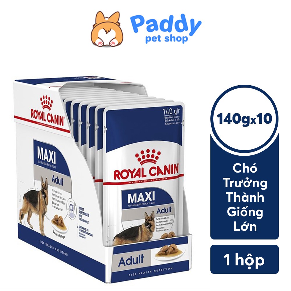  Pate Cho Chó Lớn Royal Canin Maxi Adult 140g - Hộp 10 Gói