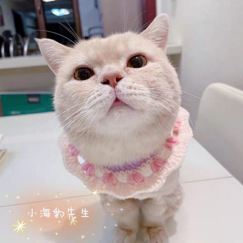 Yếm xinh cho chó mèo