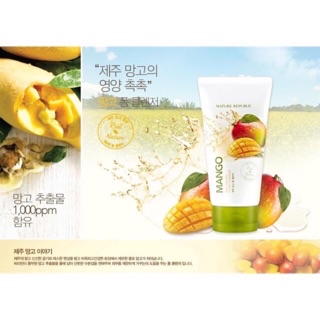 Sữa rửa mặt Nature Republic Real Nature Foam Cleansing