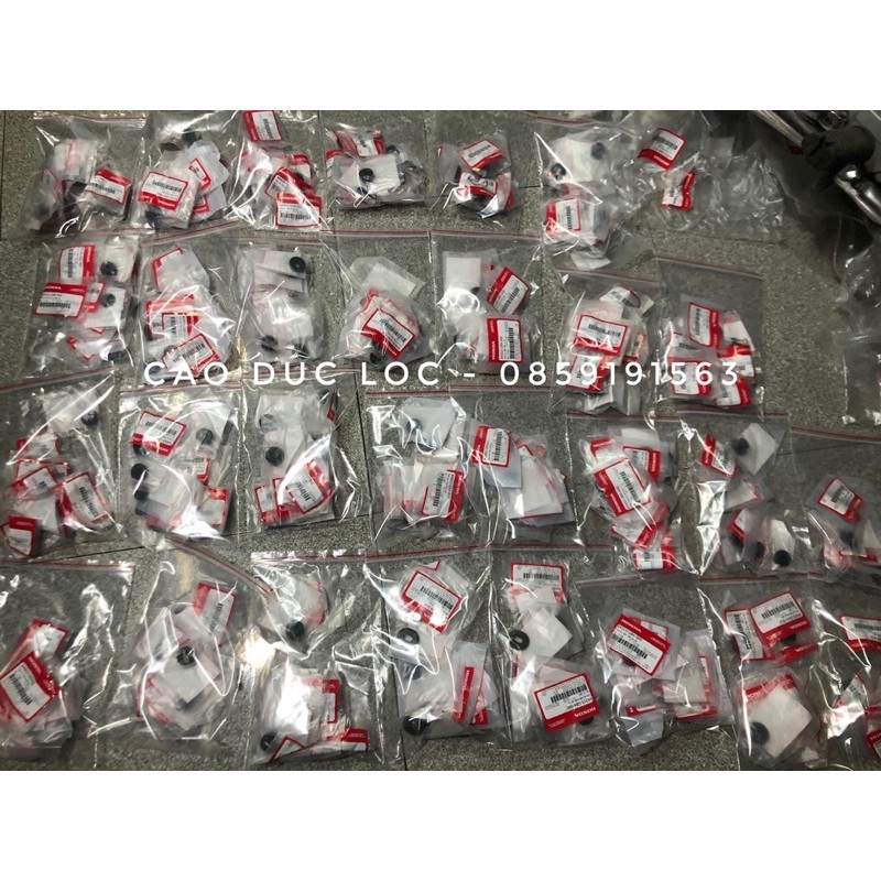 Cao su dàn áo Dream Thái + Việt