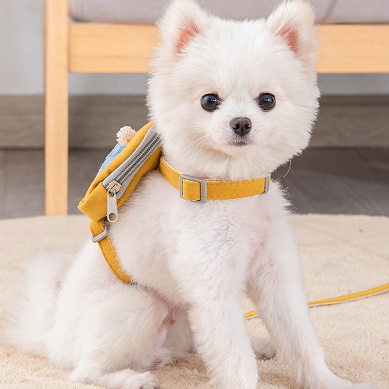 Balo Đeo Vai Đa Năng Họa Tiết Hoạt Hình Dễ Thương Cho Thú Cưng