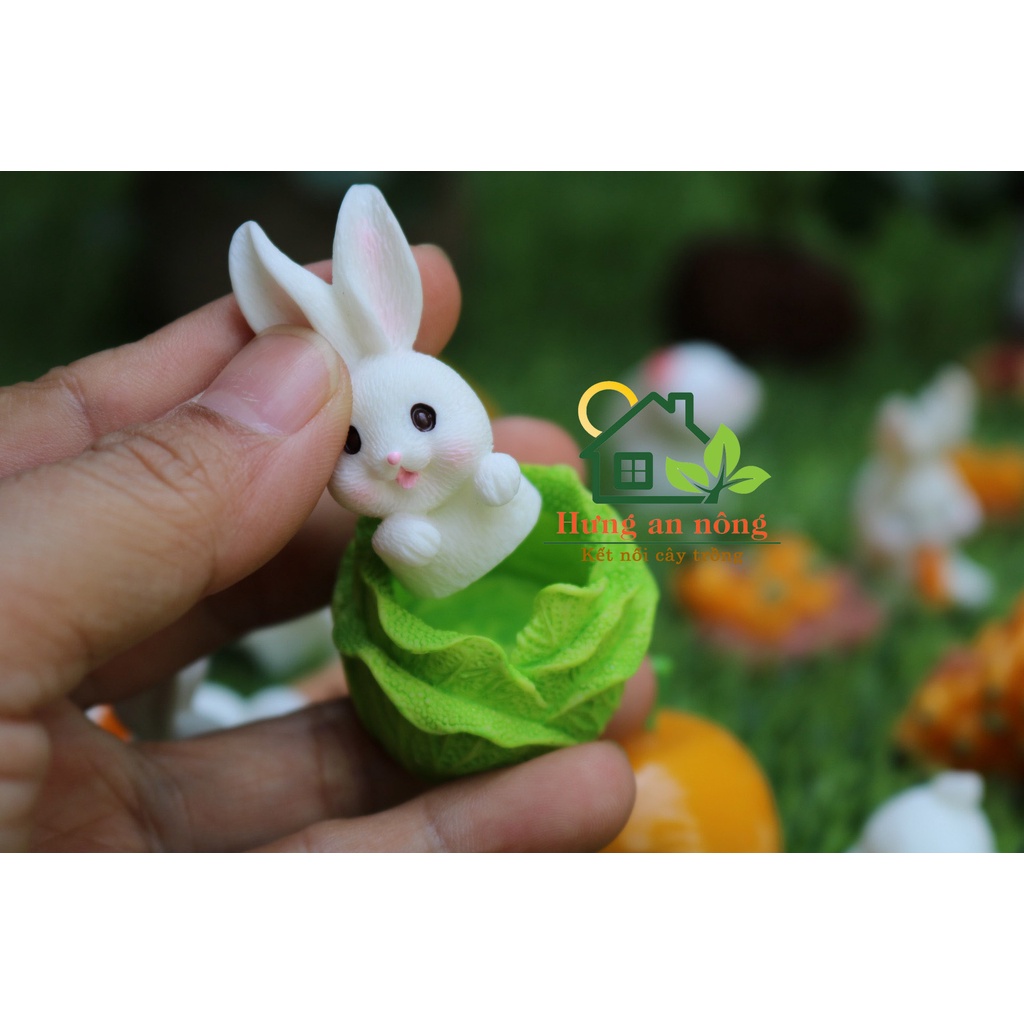 TT01 - Mô hình GIA ĐÌNH THỎ 02 trang trí tiểu cảnh sen đá xương rồng cây để bàn