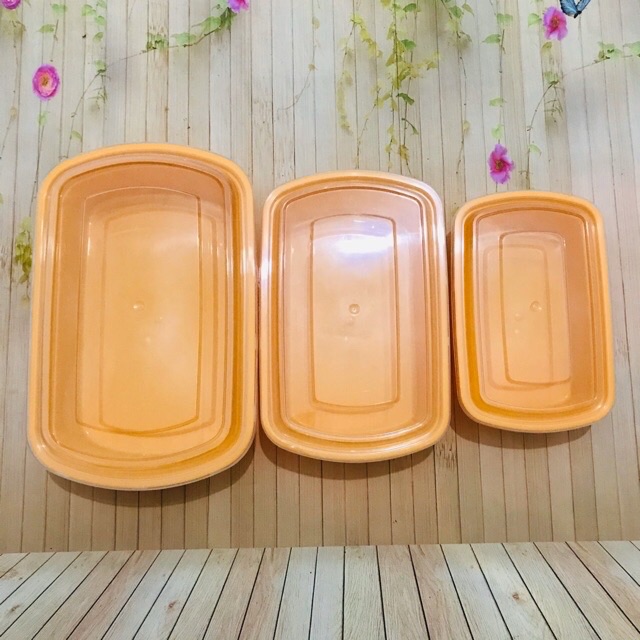 Set 3 hộp đựng thực phẩm nhựa Đại Đồng Tiến