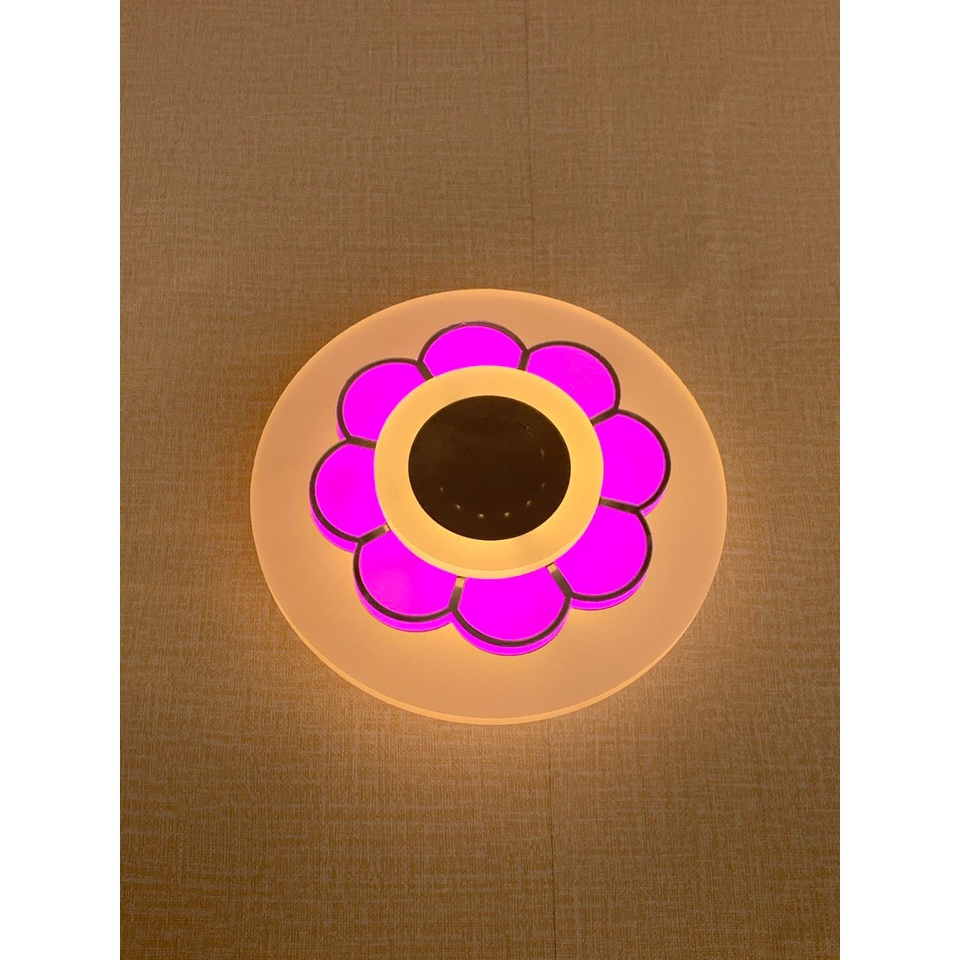 Đèn Led Ốp Trần D20CM Mika