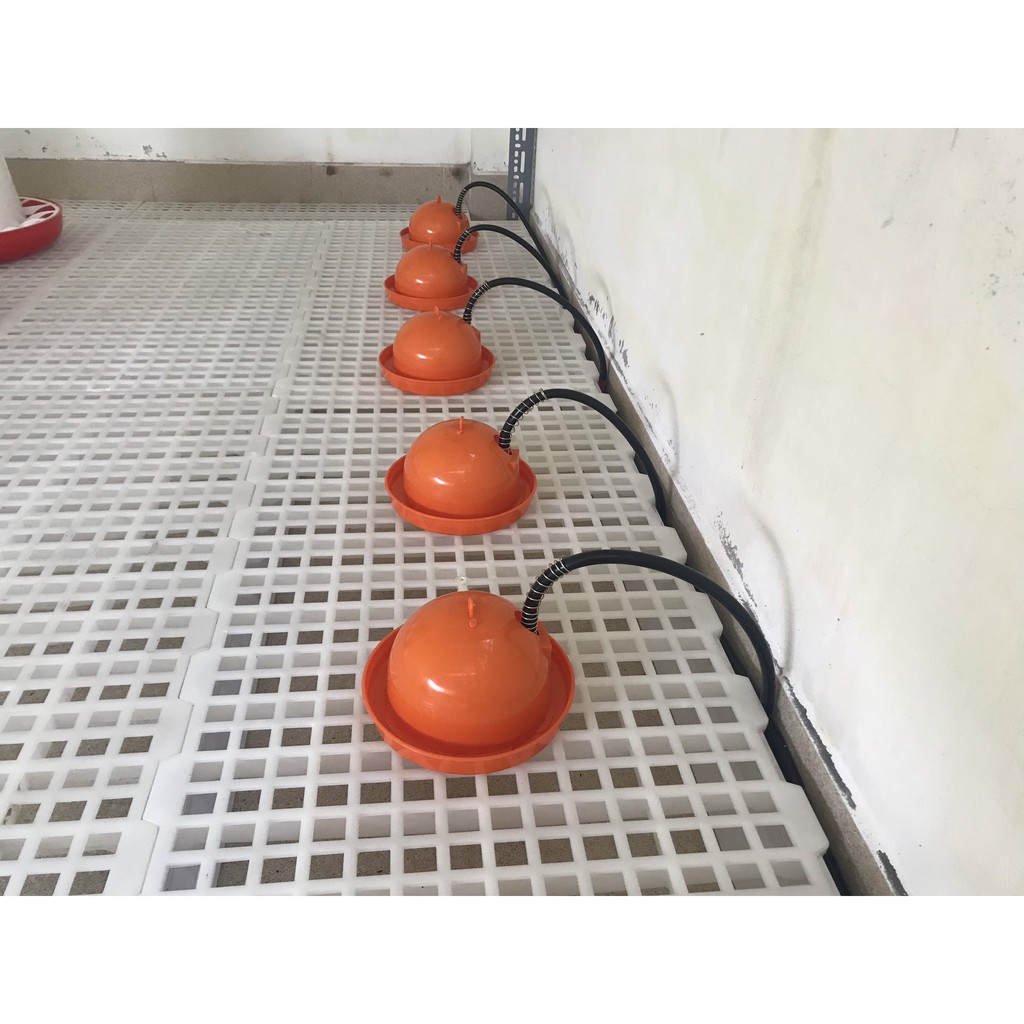 Máng Uống Gà Con - Chim Cút - Vịt - Ngan