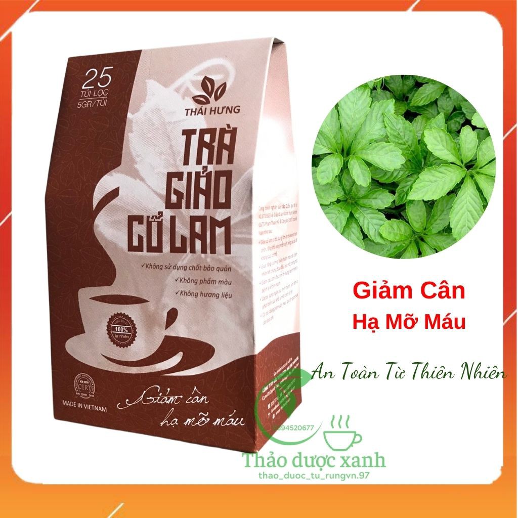 Trà Giảo Cổ Lam THÁI HƯNG - Giảm cân - Hạ Mỡ Máu 25 Túi Lọc 5gram