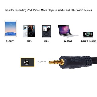 Cáp loa dài 10m Dtech 1 ra 2 DT-6214