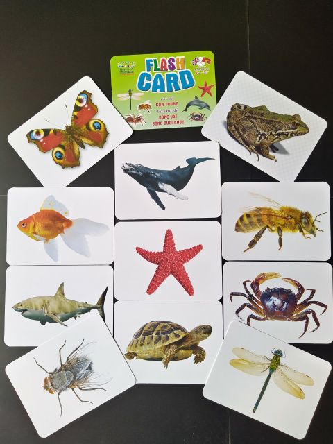 Thẻ học thông minh 18 chủ đề nhà phát hành Việt Hà M101736 kích thước 12x16cm tổng 256 thẻ 1 bộ