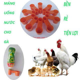 Sét 10 Máng uống tự động cho chim (Nút Chai)
