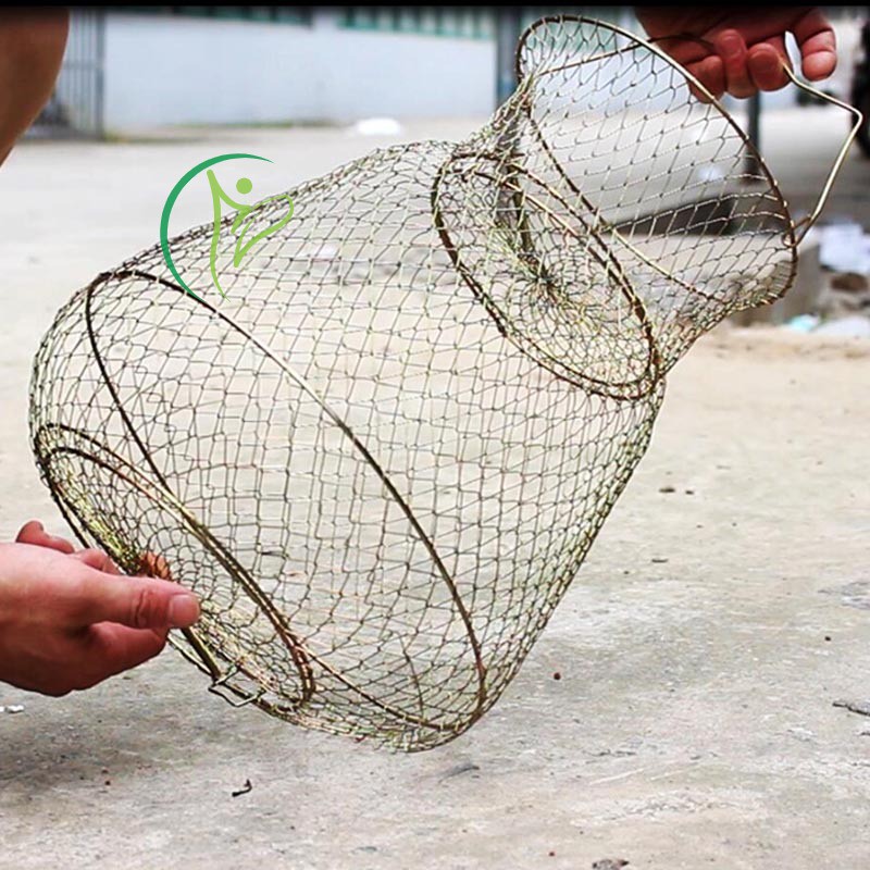 Giỏ Lưới Bắt Cá Bằng Thép Có Thể Gấp Gọn Tiện Dụng