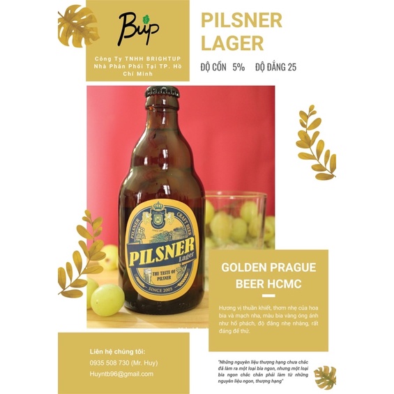 Thùng 20 chai bia tươi thủ công Pilsner Lager (Craft Beer Pilsner Lager) - Độ cồn 5% - Độ đắng 25