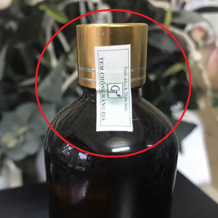 Tinh Dầu Hương Nhu 100ml - Hàng Cao Cấp Dưỡng Tóc, Giảm Rụng Tóc, Xông Hơi, Xông Hương