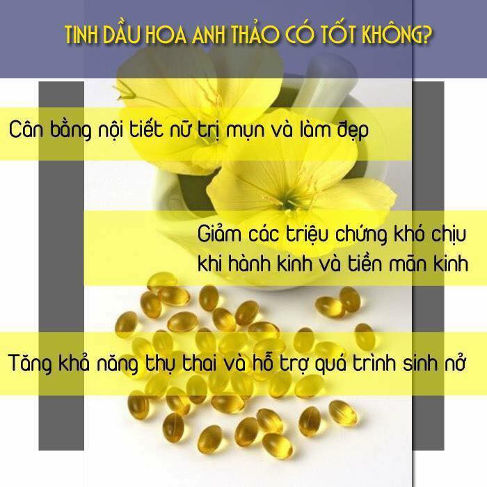 [MẪU MỚI] Tinh Dầu Hoa Anh Thảo Hàn Quốc Cân Bằng Nội Tiết Tố Nữ, Hộp 180V