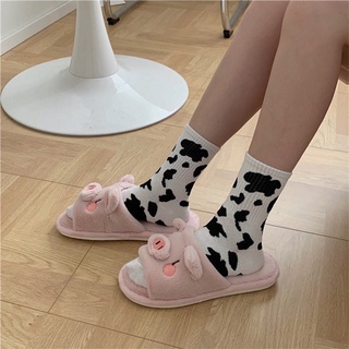 Set tất bò sữa cổ cao 5 đôi