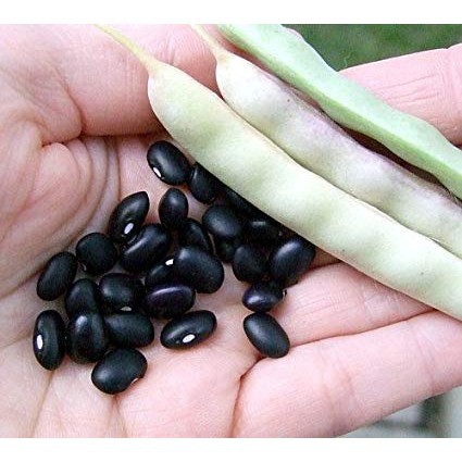 Black Bean non-GMO - Đậu Đen Nguyên Hạt Argentina không biến đổi gen Hũ 110g
