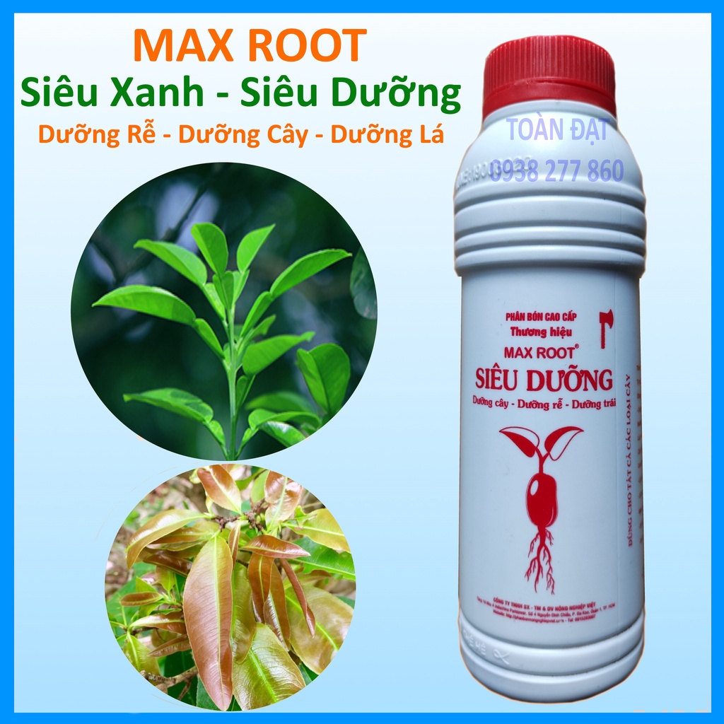 Max Root Siêu Dưỡng Bung Đọt Ra Rễ Mai Vàng, Giúp Cây Đâm chồi phát đọt, ra rễ mạnh, mập thân xanh lá