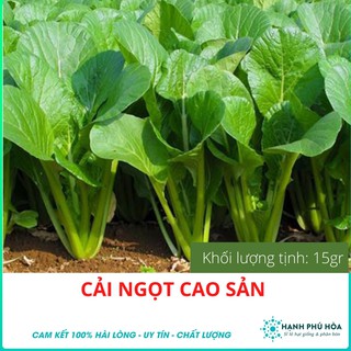 Hạt giống Cải Ngọt 101- 15gr Ca-Na-An- Tỉ Lệ Nảy Mầm Cao, Thu Hoạch Quanh Năm, Ăn Ngon Ngọt, Tốt Cho Sức Khỏe