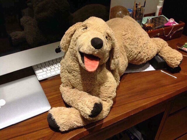 CHÓ GOLD BÔNG IKEA  70cm