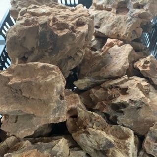 Đá tiger thuỷ sinh 1kg