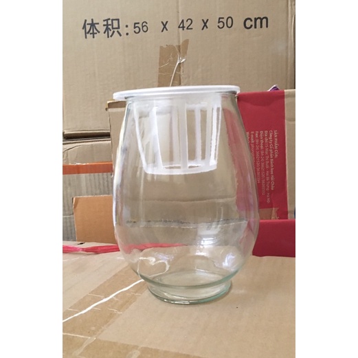 Chậu thủy tinh trồng cây, nuôi cá để bàn