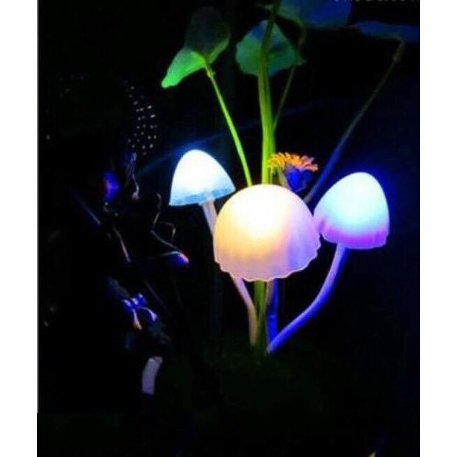 Đèn ngủ cảm ứng hình nấm avatar, đèn tự sáng khi tối,lấy ý tưởng từ bộ phim 3d nổi tiếng avatar,thiết kế đẹp và tự nhiên