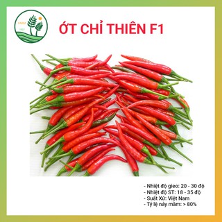 Hạt Giống Ớt Chỉ Thiên F1 - 0,5g - Cay