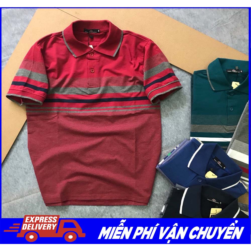 Áo thun nam có cổ sọc ngang, bo viền tay cao cấp - LZ FASHION - PS054