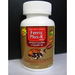 Thức phẩm Vitamin Bổ máu Ferric Plus-k cho chó - mèo (hộp/40 viên)