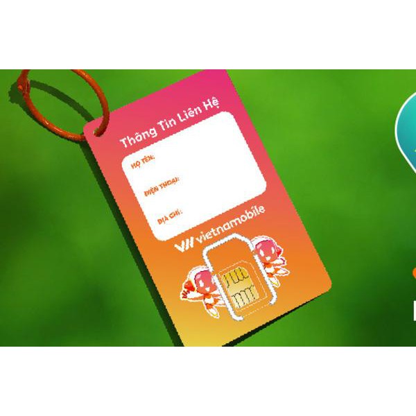 Miễn phí tháng đầu - Sim VietNamobile Siêu Data 4G 30Gb/ Tháng - Duy trì chỉ với 20K